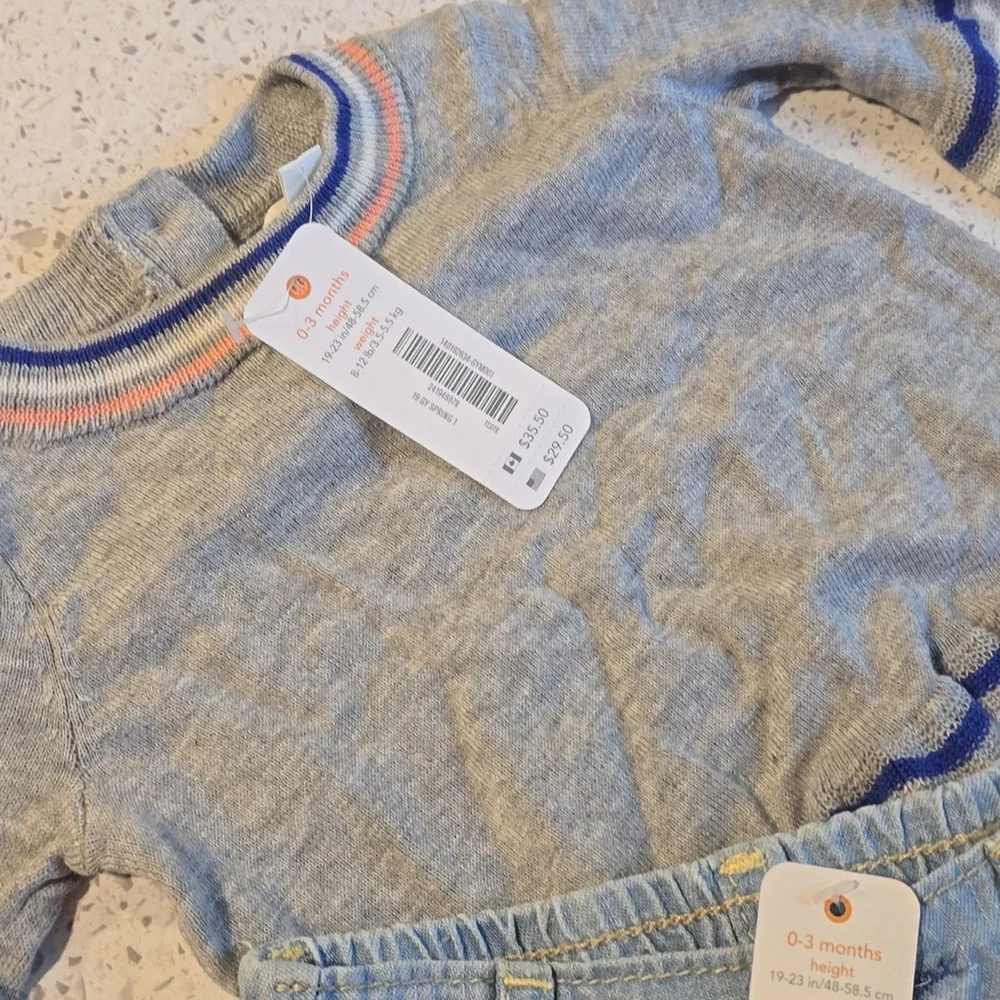 Nwt Gymboree 2 Piece Outfit 0-3 Mons New Born Girl New - Picture 3 of 4